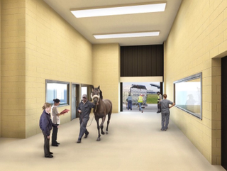Illustration for article titled Yes, There Is an Airport Being Designed Just For Animals